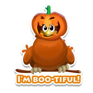 🎃 I'M BOO-TIFUL! хэллоуин, тыква, сова, милый, осень, осень, boo-tiful whatsapp sticker