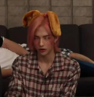 🎸 orang, potret, rambut pink, telinga kelinci, kemeja flanel, Korea, pria telegram sticker