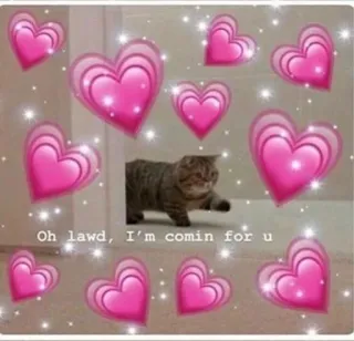 💗 Oh lawd, I'm comin for u แมว, หัวใจ, น่ารัก, สัตว์, มีม telegram sticker