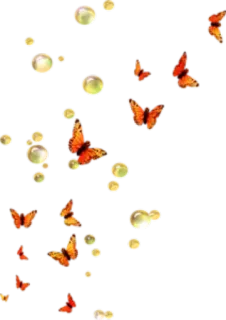 🦋 borboleta, insetos, natureza, laranja, voando, pérolas telegram sticker