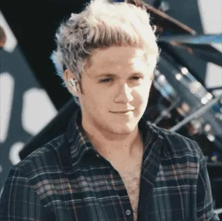 ✨ Niall Horan คน, นักร้อง, ผมบลอนด์, คนดัง, ผู้ชาย, เพลง telegram sticker