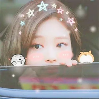 🌸 stars, cute, korean, woman, cat, hamster telegram sticker