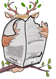 🦉 Враки veado, jornal, lendo, animal, galhos, ilustração telegram sticker