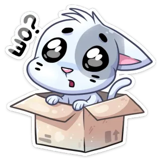 😨 EIO? kot, kotek, pudełko, słodki, naklejka, anime, kreskówka whatsapp sticker