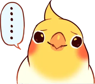 😥 鳥, オカメインコ, かわいい, 動物, ペット, 考えてる, ドット telegram sticker