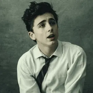 📎 Timothée Chalamet Schauspieler, Porträt, Krawatte, Promi, jung telegram sticker