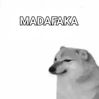 🙂 MADAFAGA Meme, Doge, Marah, Menyinggung, Lucu whatsapp sticker