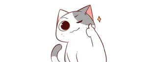👌 gato, dedo do meio, ofensivo, rude, adesivo, desenho animado telegram sticker