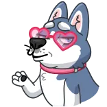 😘 강아지, 동물, 스티커, 선글라스, 하트 telegram sticker