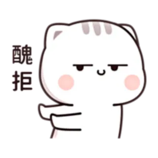 🤚 拒绝 cat, cute, meme, refusal, attitude telegram sticker