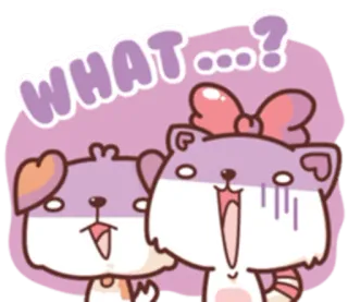 😨 WHAT...? 만화, 동물, 개, 고양이, 충격, 표정, 놀람 telegram sticker