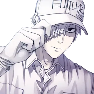 @anime_stickerr Клетки за работой telegram stickers