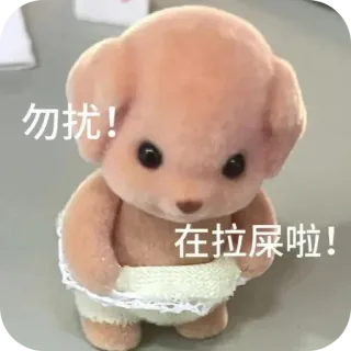 ⭐ 勿扰！
在拉屎啦！ animale, orso, giocattolo, carino, cartone animato, adesivo telegram sticker