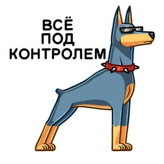 👮‍♂ ВСЁ ПОД КОНТРОЛЕМ собака, доберман, солнцезащитные очки, контроль, русский, стикер whatsapp sticker