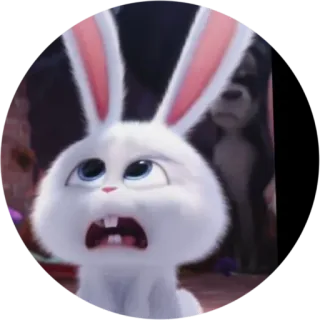 😟 Snowball The Secret Life of Pets coniglio, coniglietto, animale, cartone animato whatsapp sticker
