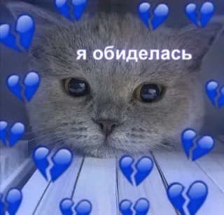 💔 Я обиделась แมว, เศร้า, เจ็บ, สีฟ้า, อกหัก, รัสเซีย, งอน whatsapp sticker