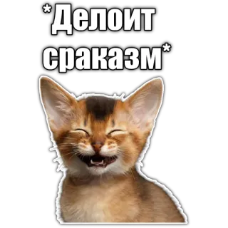 🙃 *Делоит
сраказм* cat, meme, russian, sarcasm telegram sticker