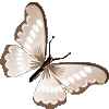 🦋