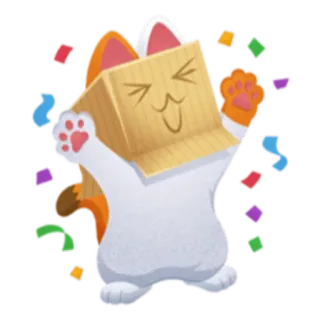 🎉 gato, adesivo, celebração, caixa, fofo, confete whatsapp sticker