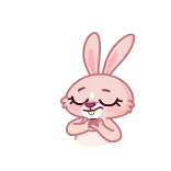 😍 bunny, rabbit, cute, pink, animal whatsapp sticker