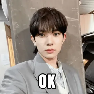 👌 OK ok, approval, kpop, face, man, affirmative telegram sticker