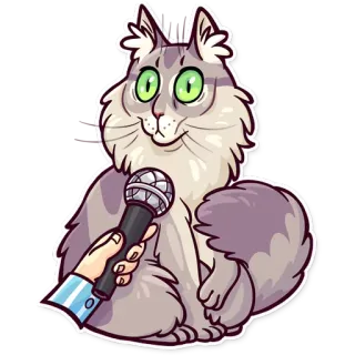 Meme Cats whatsapp stickers