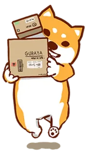📦 GURAYA
Sopan ing anggone Hund, Shiba Inu, Paket, Lieferung, süß, kawaii whatsapp sticker