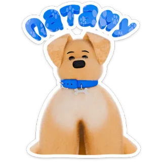 🐶 natamy 개, 귀여운, 동물, 애완동물 telegram sticker