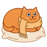 😲 cat, scarf, cute, pillow, orange, animal whatsapp sticker