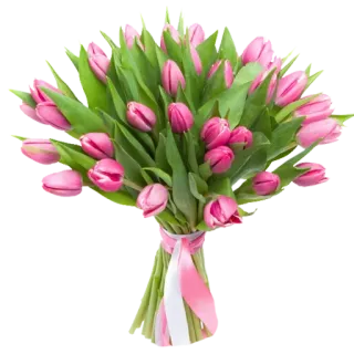 🌷 ดอกไม้, ทิวลิป, สีชมพู, ช่อดอกไม้, ลายดอกไม้, ฤดูใบไม้ผลิ, ของขวัญ, ธรรมชาติ whatsapp sticker