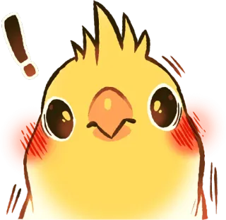 😳 鳥, かわいい, オカメインコ, 黄色, 動物, ペット telegram sticker