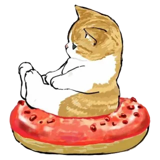 ❤️ kucing, donat, anak kucing, binatang, imut, manis telegram sticker