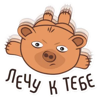 ✈️ лечу к тебе urso, desenho animado, russo, voando, animal, adesivo telegram sticker