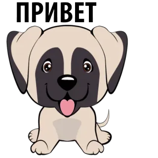🐶 ПРИВЕТ hond, puppy, dier, groet, cartoon, schattig whatsapp sticker