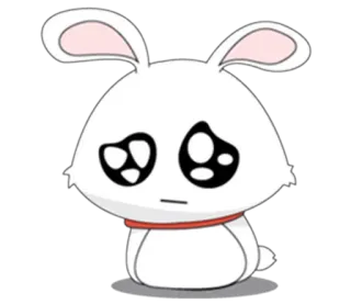 😕 lapin, mignon, animal, dessin animé, triste whatsapp sticker