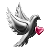 🕊