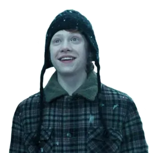 😀 Ron Weasley Harry Potter ハリー・ポッター, ロン・ウィーズリー, 映画, キャラクター, 魔法使い, 少年, ポートレート telegram sticker