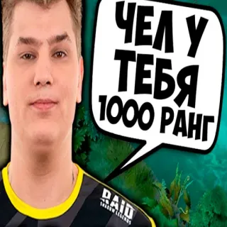 👎 ЧЕЛУ У ТЕБЯ 1000 РАНГ whatsapp sticker
