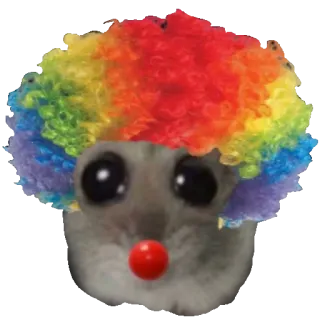 🤡 광대, 햄스터, 동물, 웃긴, 귀여운, 밈 whatsapp sticker