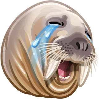 😭 walrus, menangis, sedih, emosi, hewan, mamalia, air mata telegram sticker