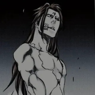 🧬 Anime, Manga, Cicatrices, Torso, Pelo largo telegram sticker