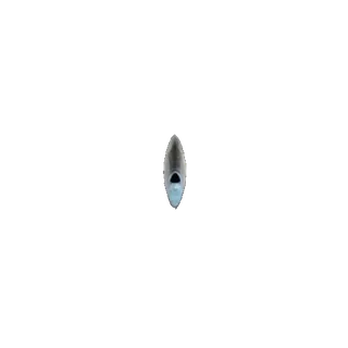 🐟 whatsapp sticker