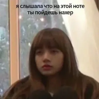 🖕 я слышала что на этой ноте ты пойдешь нахер Meme, Text, Russisch, Offensiv telegram sticker