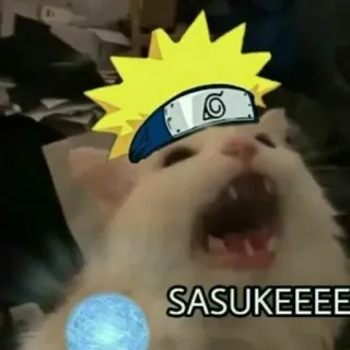 😡 Naruto Uzumaki Naruto SASUKEEEEE anime, cat, meme, naruto, sasuke telegram sticker