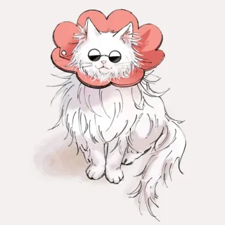 🐈 Katze, Sonnenbrille, Blume, Weiße Katze, Süß, Tier telegram sticker