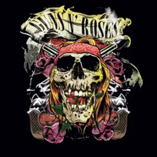 🔫 GUNS N' ROSES schädel, waffen, rosen, band, musik whatsapp sticker