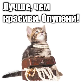 ❤️ Лучше, чем красиви. Опупени! cat, pearls, kitten, jewelry, chest, cute telegram sticker