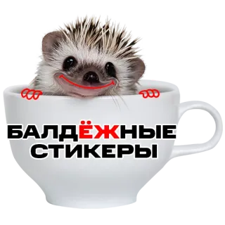💯 БАЛДЁЖНЫЕ СТИКЕРЫ hedgehog, cup, sticker, cute, animal, russian text telegram sticker