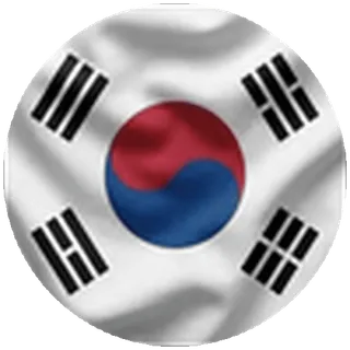 🇰🇷