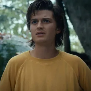😐 Steve Harrington Stranger Things Steve Harrington, Stranger Things, Personagem, Televisão, Netflix, Retrato telegram sticker